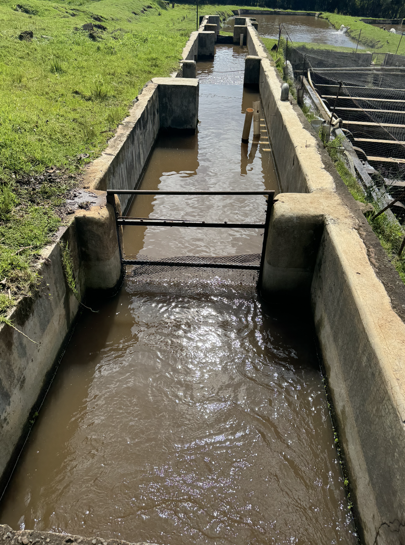 🇰🇪 Design + develop auxiliary systems for large-scale water recirculation and cleaning in fish rearing ponds